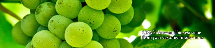 Customer Capital Consulting Pte Ltd