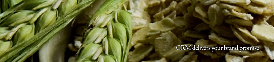 Customer Capital Consulting Pte Ltd