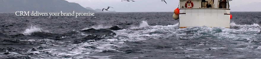 Customer Capital Consulting Pte Ltd