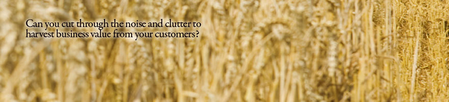 Customer Capital Consulting Pte Ltd