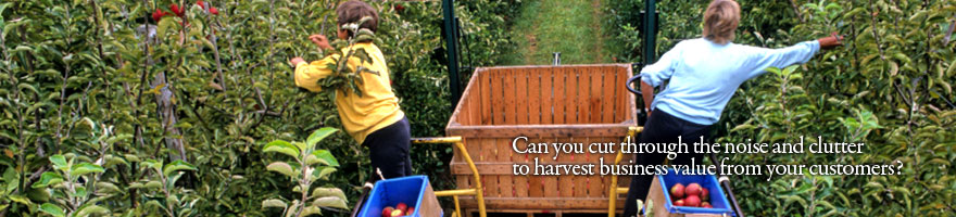 Customer Capital Consulting Pte Ltd