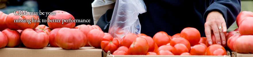 Customer Capital Consulting Pte Ltd