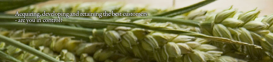 Customer Capital Consulting Pte Ltd