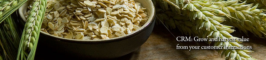 Customer Capital Consulting Pte Ltd