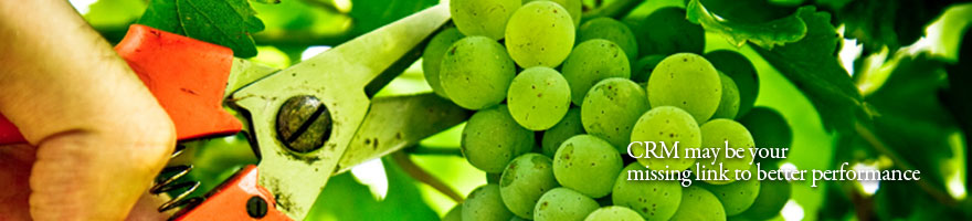 Customer Capital Consulting Pte Ltd