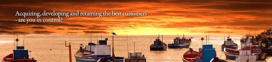 Customer Capital Consulting Pte Ltd